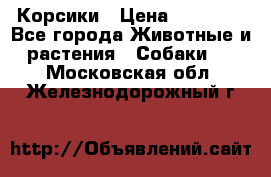 Корсики › Цена ­ 15 000 - Все города Животные и растения » Собаки   . Московская обл.,Железнодорожный г.